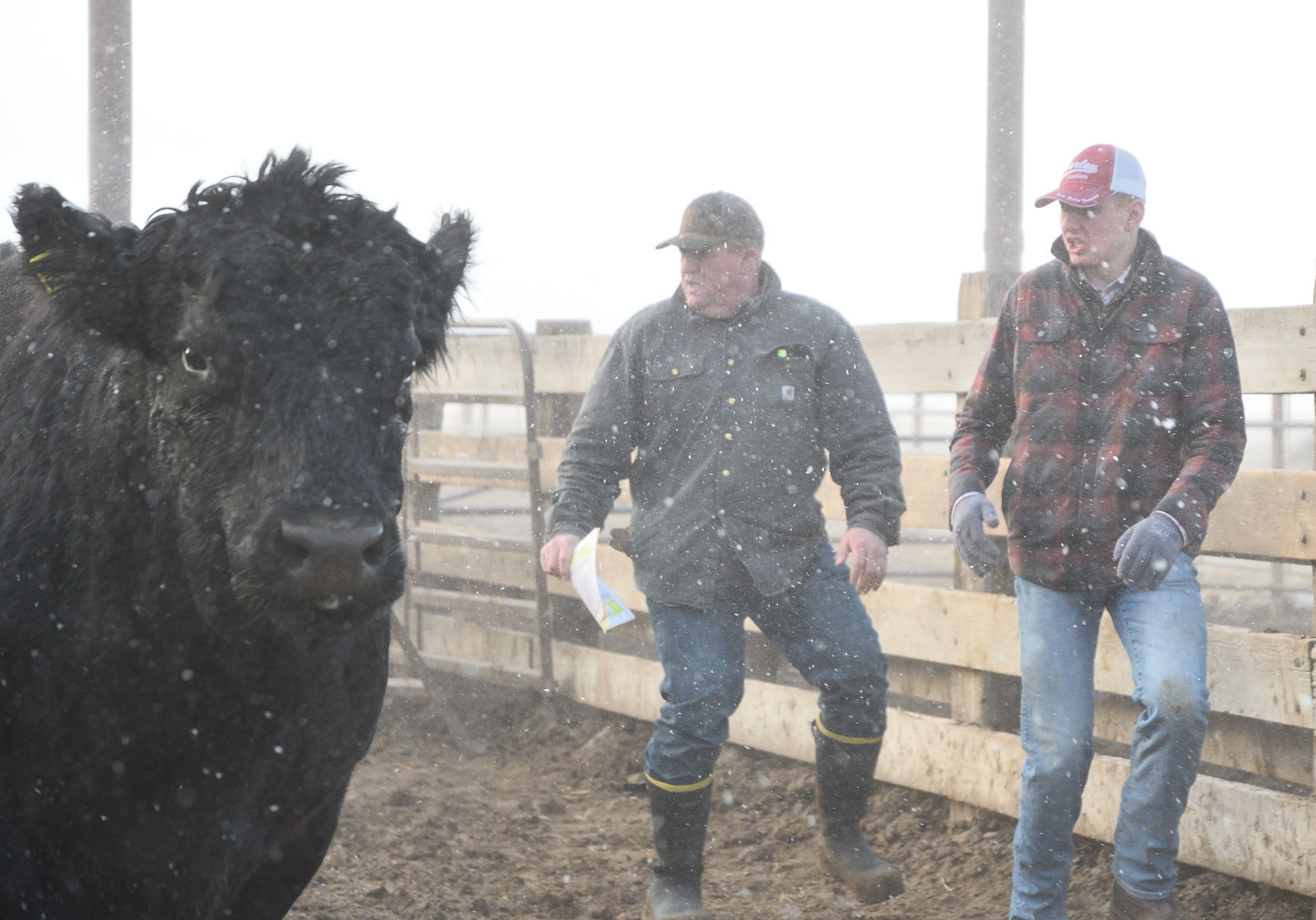 Ranchers deal with fallout from Badger Fire
